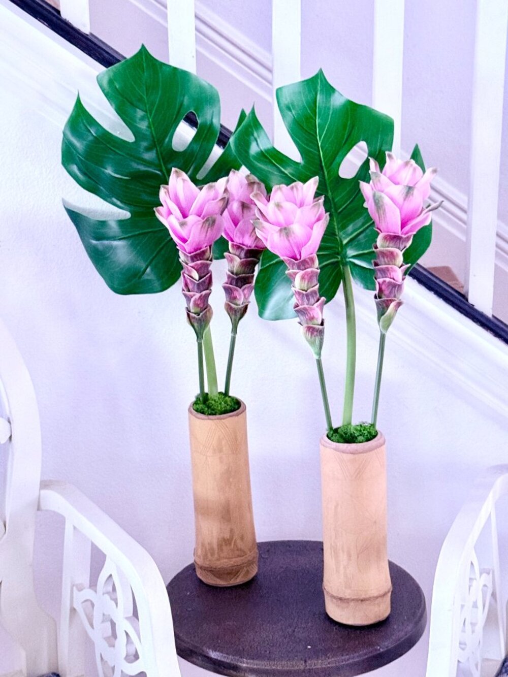 Siam Tulip in Bamboo